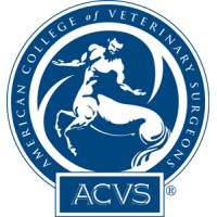 ACVS Surgeon
